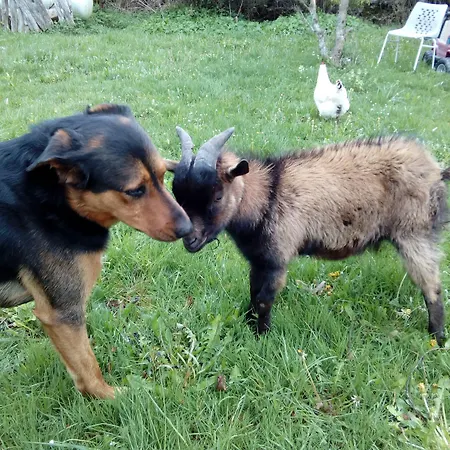 Paysanne Loubaresse (Cantal)